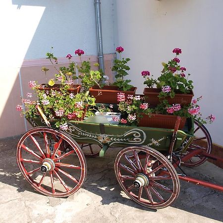 Guest House Borisov Шабла Екстериор снимка