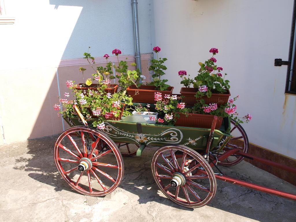 Guest House Borisov Шабла Екстериор снимка